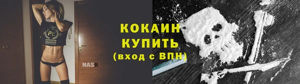 ПСИЛОЦИБИНОВЫЕ ГРИБЫ Алексин