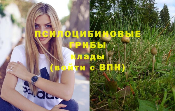 спиды Алексеевка