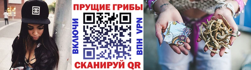 Галлюциногенные грибы ЛСД  MEGA маркетплейс  Сокол 