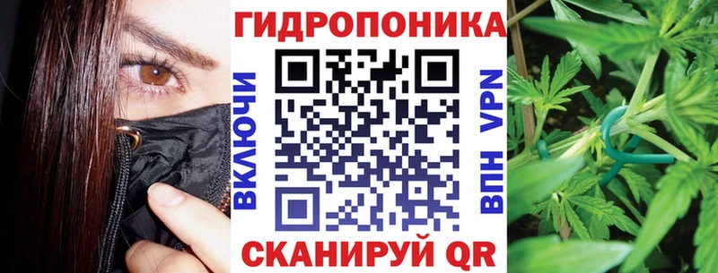 Бошки Шишки OG Kush  МЕГА маркетплейс  Сокол  где найти наркотики 